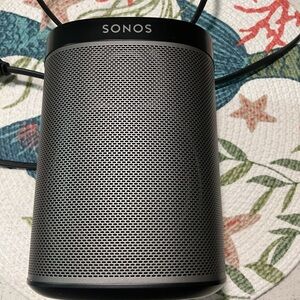 Sonos Gray Portable Speaker